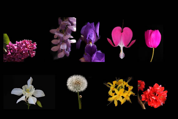 Aprilfotos